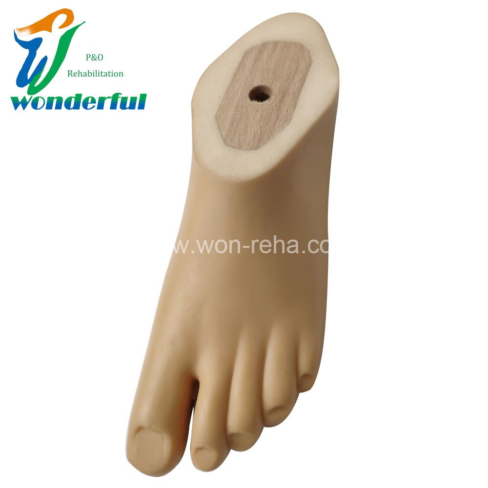 Prosthetic Sach Foot For Children