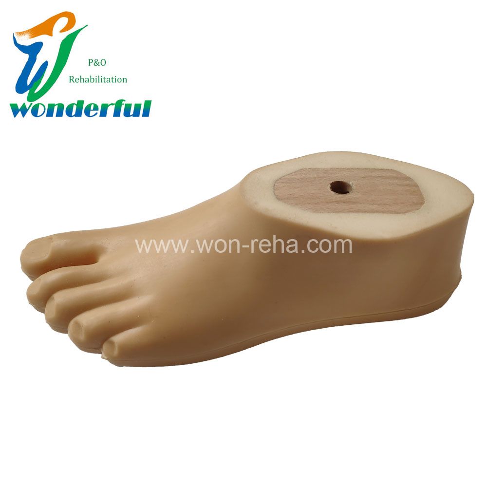 Prosthetic Sach Foot For Children