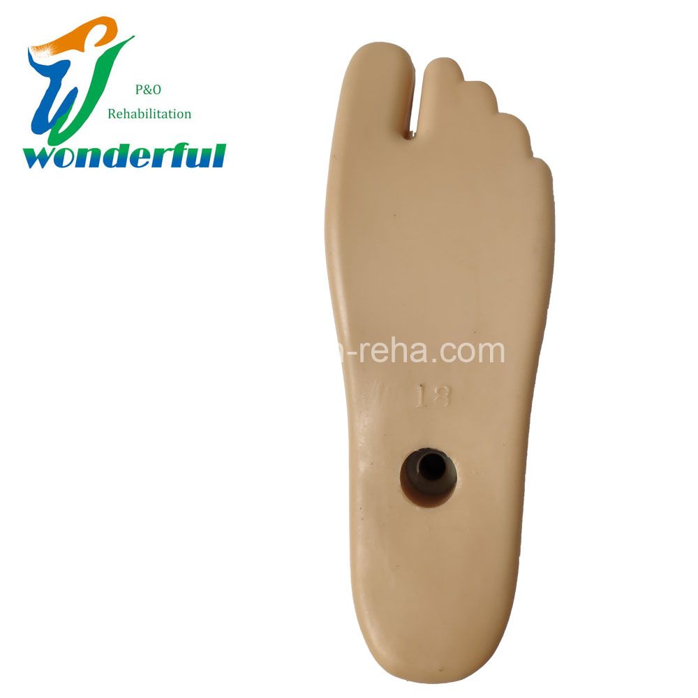 Prosthetic Sach Foot For Children