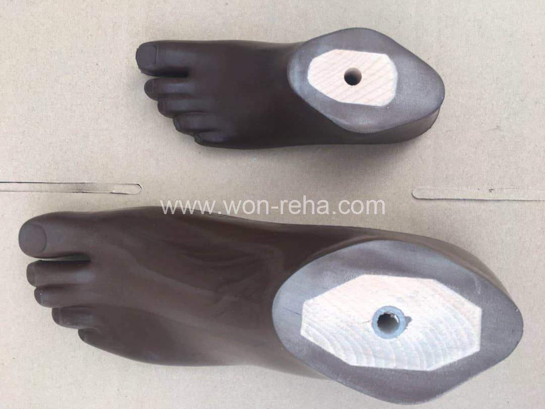 Prosthetic Brown Sach Foot For Children