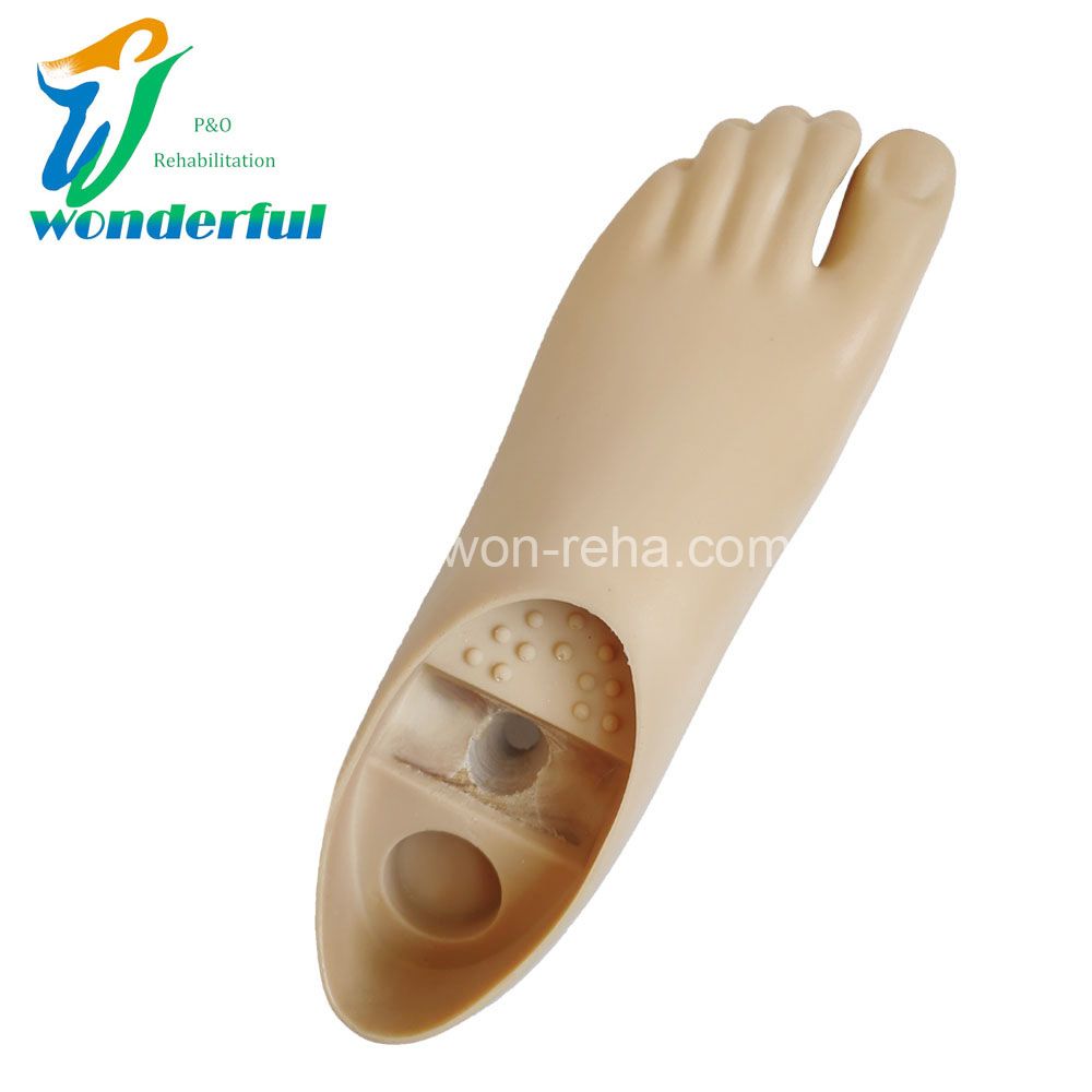 Prosthetic Single Axis Foot