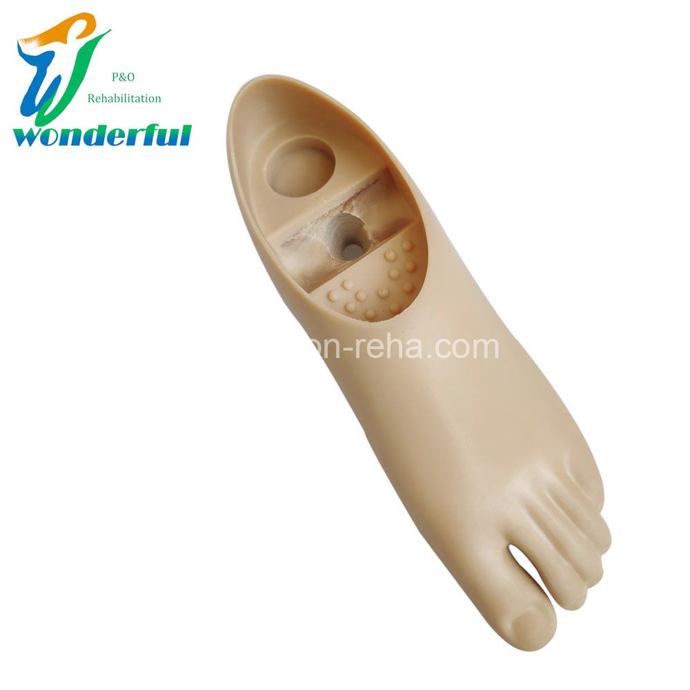 Prosthetic Single Axis Foot