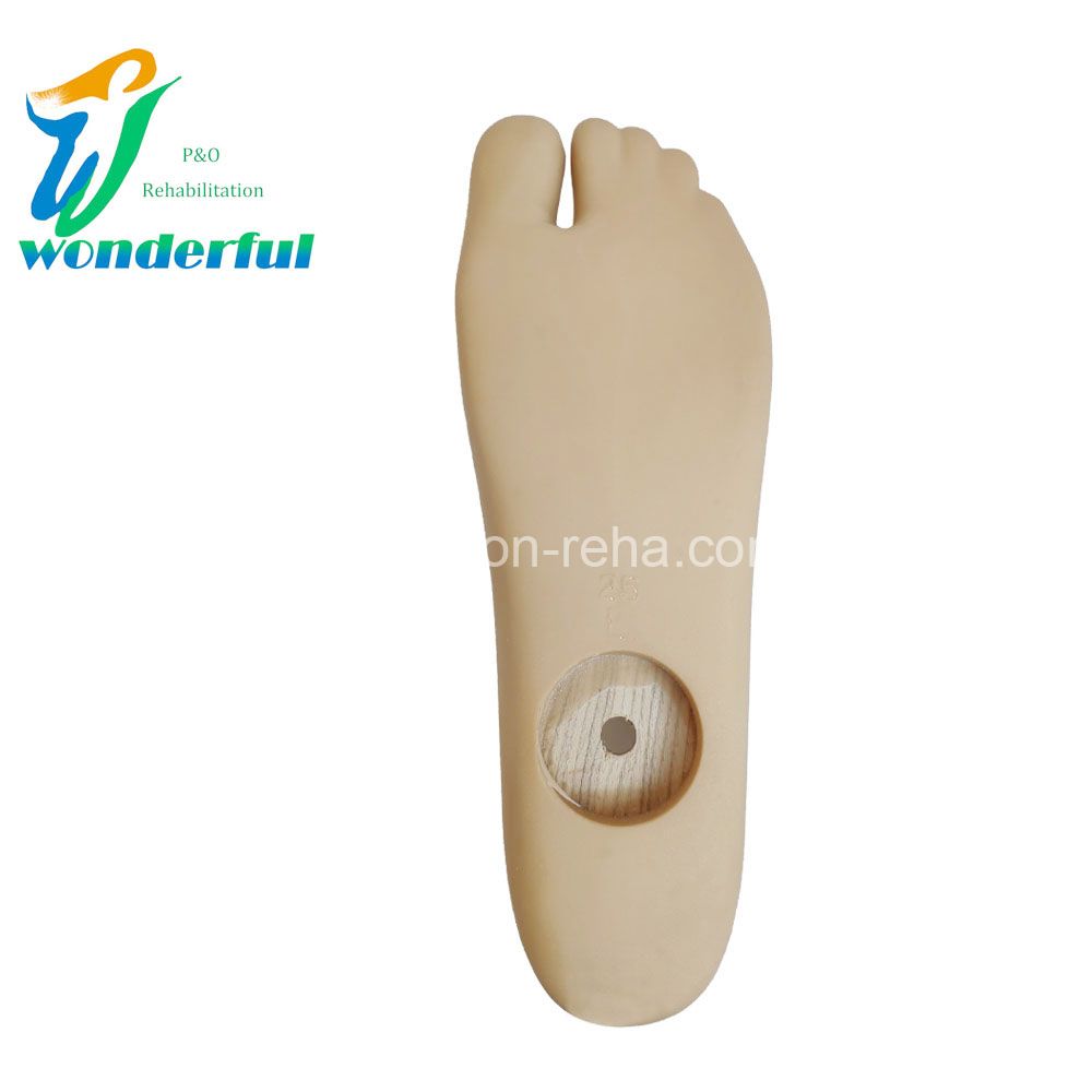 Prosthetic Single Axis Foot