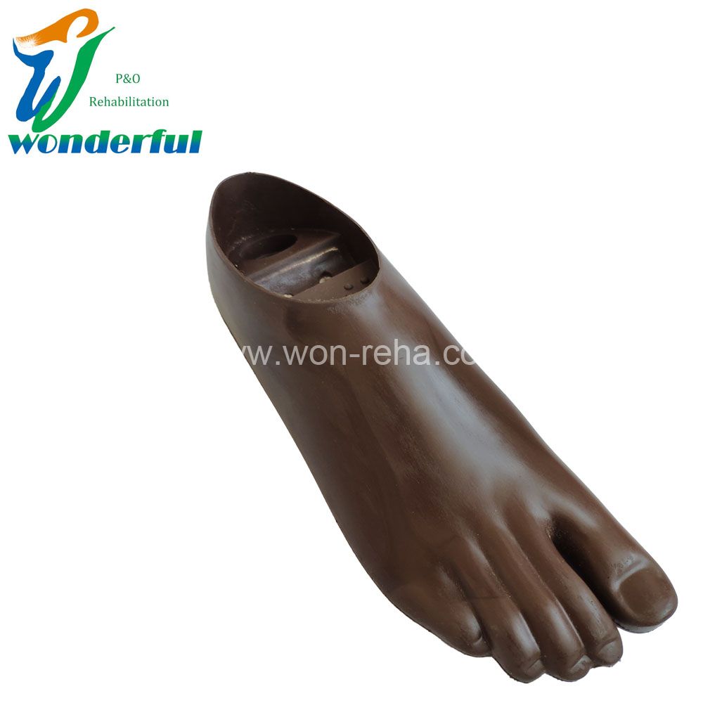 Brown Double Axis Foot