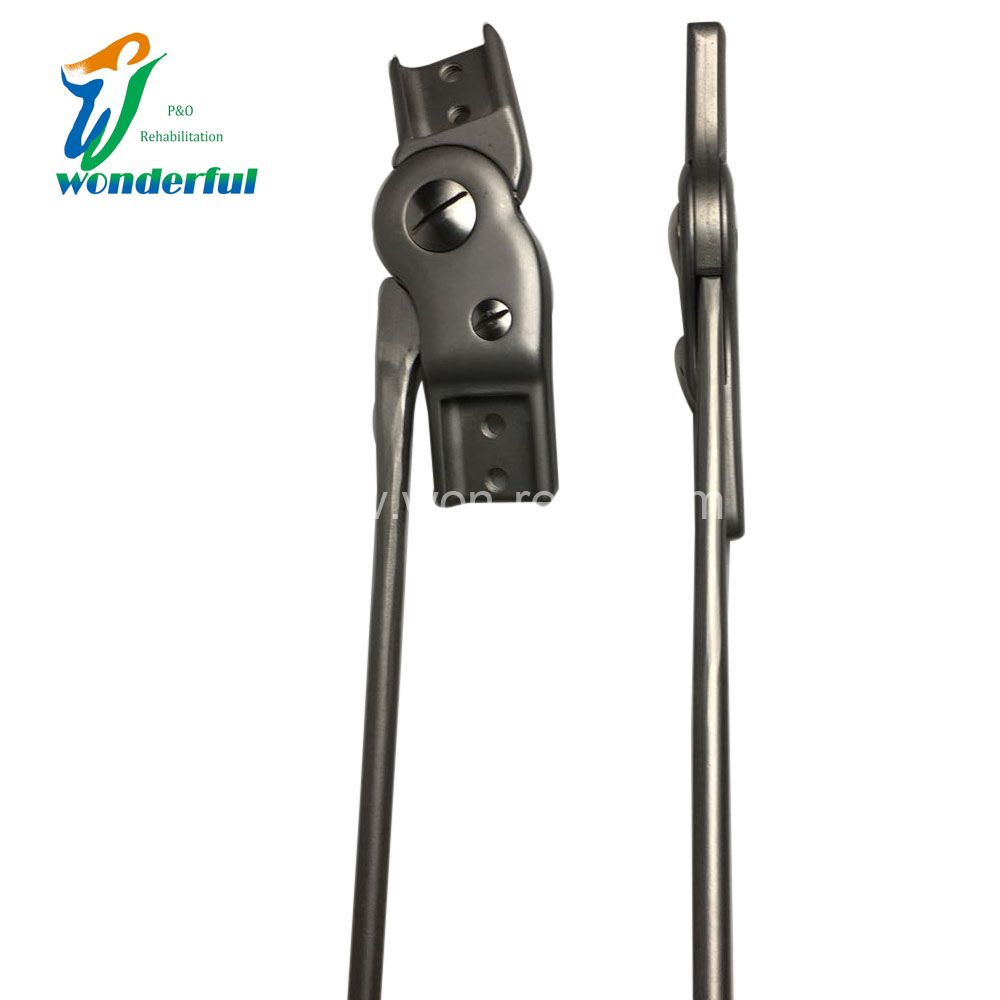 Orthotic Detent Lock Of Knee Joint