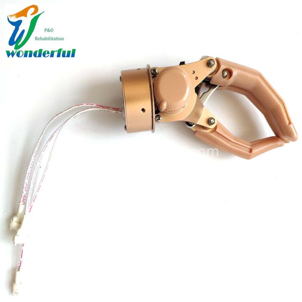 Myoelectric control prostheses with one degree freedom