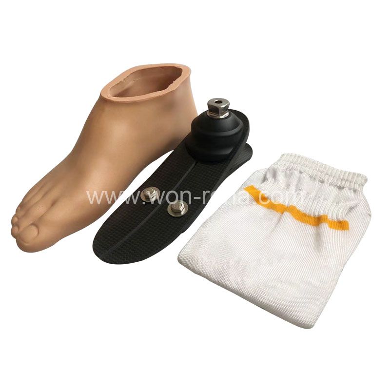 Artificial Limbs Foot Implants Low Ankle Prosthetic Leg Carbon Fiber Foot Prosthetic Foot