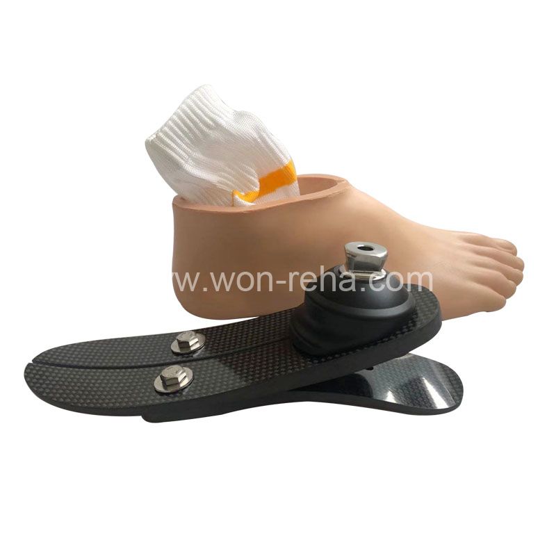 Artificial Limbs Foot Implants Low Ankle Prosthetic Leg Carbon Fiber Foot Prosthetic Foot