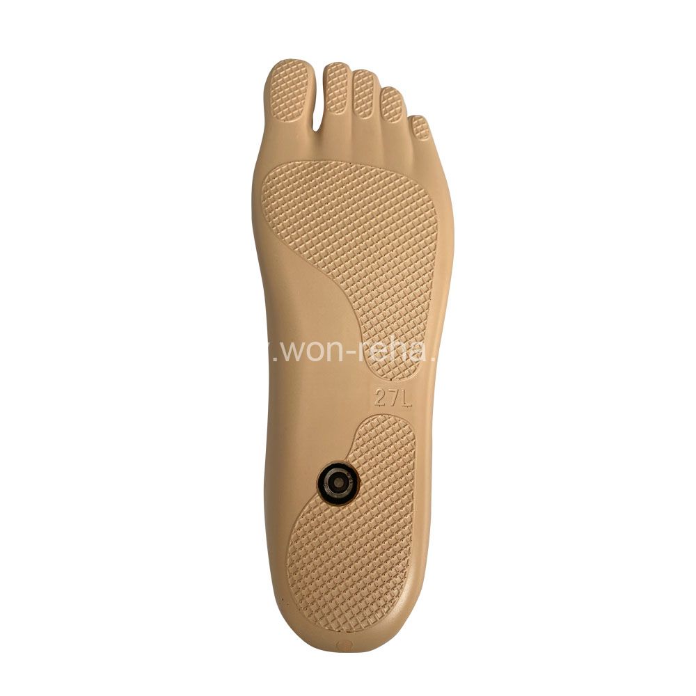 Waterproof and Non-slip Sach Foot Prosthetic Sach Foot Artificial Limbs with Stainless Steel Adapter