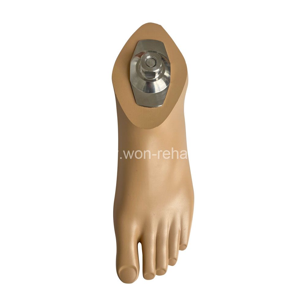 Waterproof and Non-slip Sach Foot Prosthetic Sach Foot Artificial Limbs with Stainless Steel Adapter