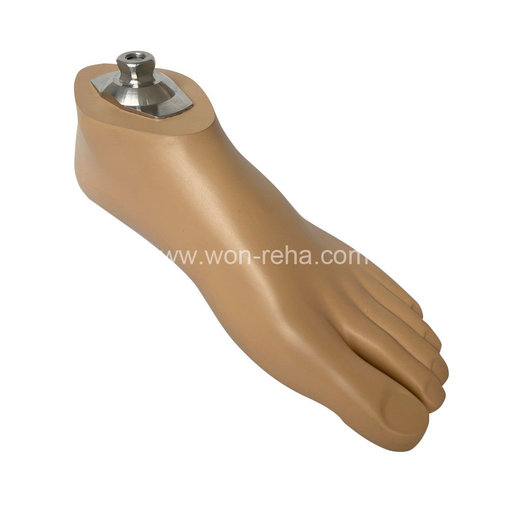 Waterproof and Non-slip Sach Foot Prosthetic Sach Foot Artificial Limbs with Stainless Steel Adapter