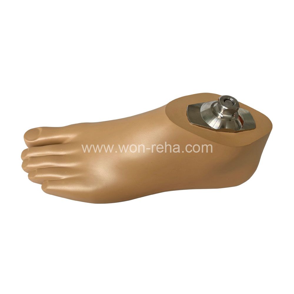 Waterproof and Non-slip Sach Foot Prosthetic Sach Foot Artificial Limbs with Stainless Steel Adapter