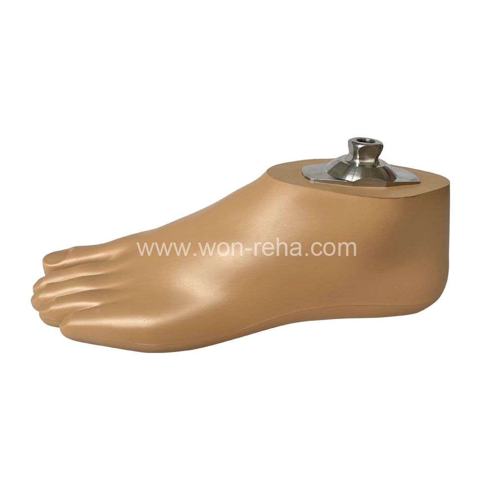 Waterproof and Non-slip Sach Foot Prosthetic Sach Foot Artificial Limbs with Stainless Steel Adapter