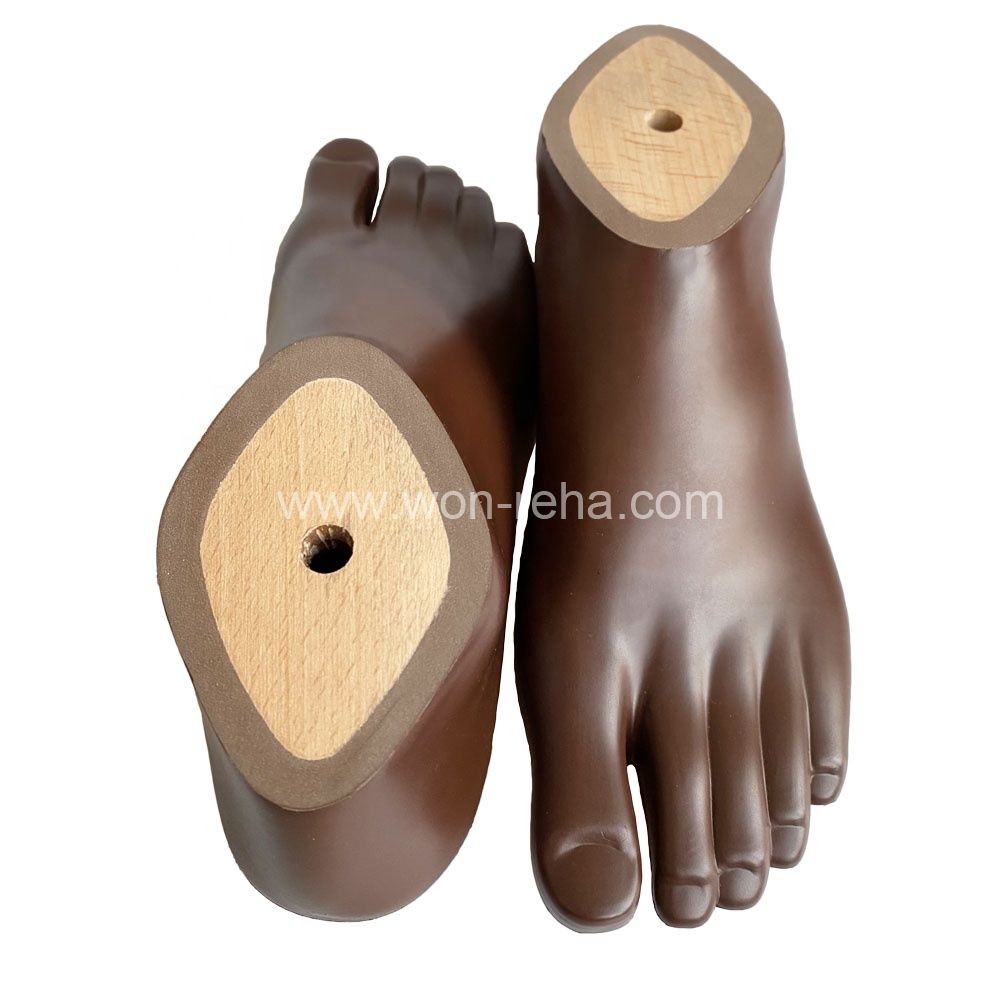 Prosthetic Foot Polyurethane Brown Sach Foot