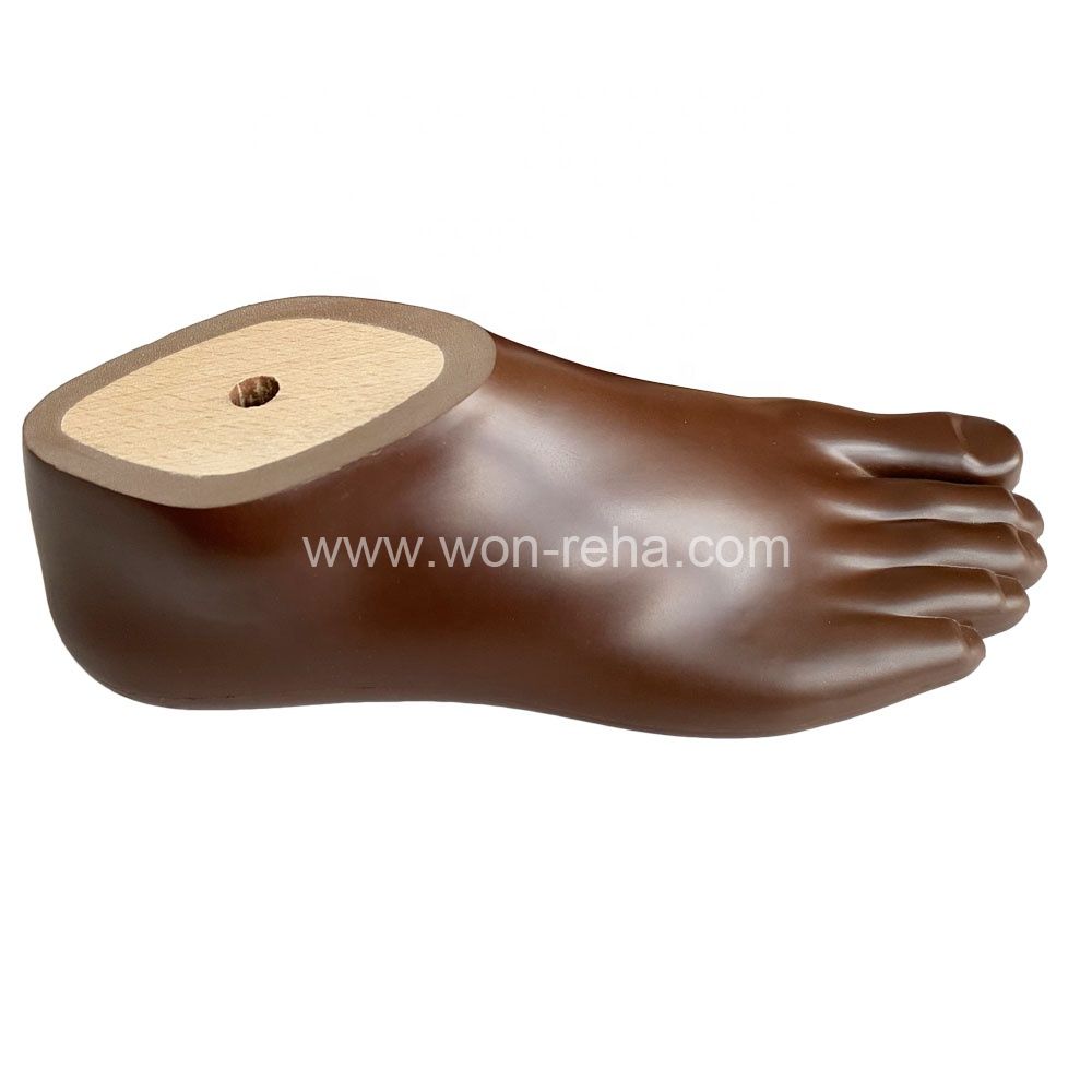 Prosthetic Foot Polyurethane Brown Sach Foot