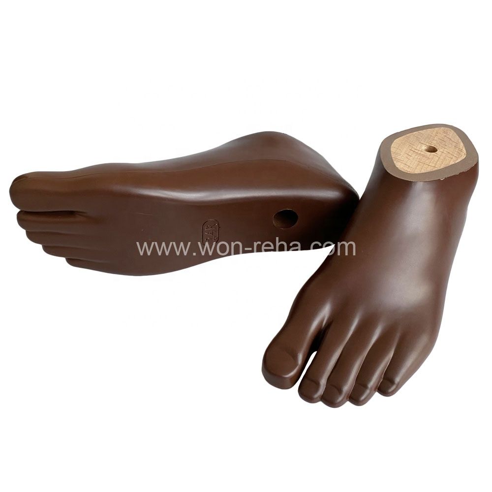 Prosthetic Foot Polyurethane Brown Sach Foot