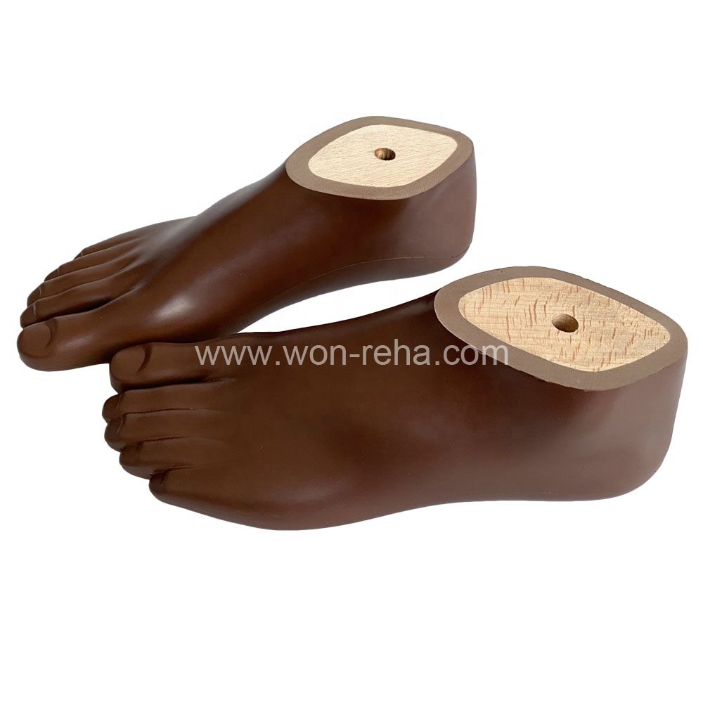 Prosthetic Foot Polyurethane Brown Sach Foot