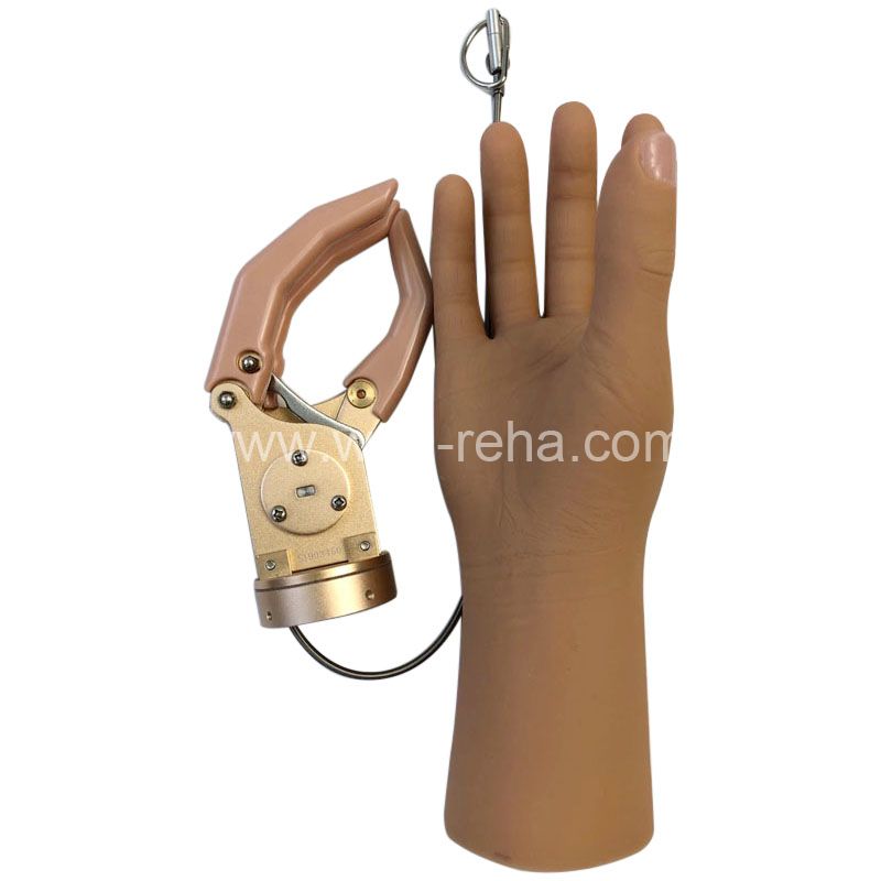 Cosmetic Mechanical Hand With Wire Control