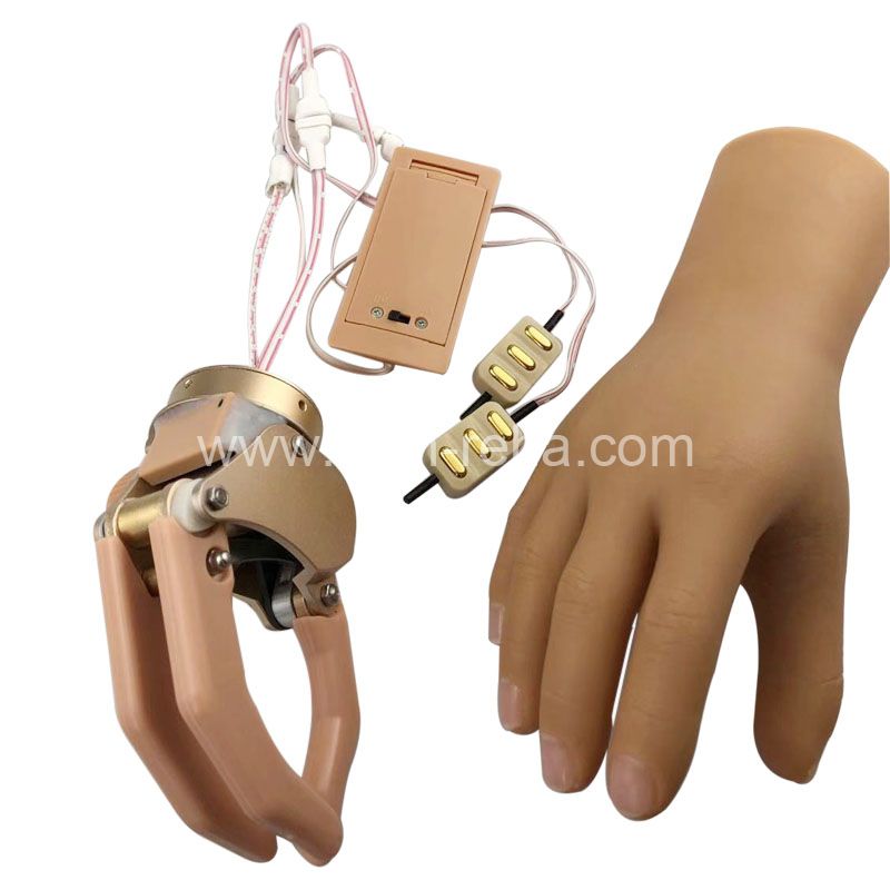 Hot Sale Artificial Limb Prosthetic Hand Myoelectric Arm Prostheses Hand