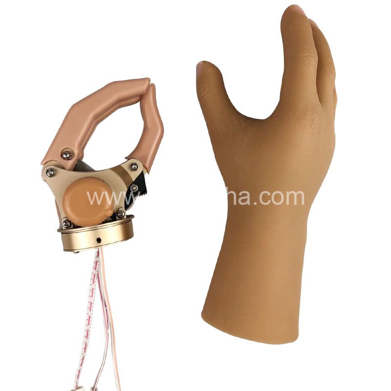 Hot Sale Artificial Limb Prosthetic Hand Myoelectric Arm Prostheses Hand