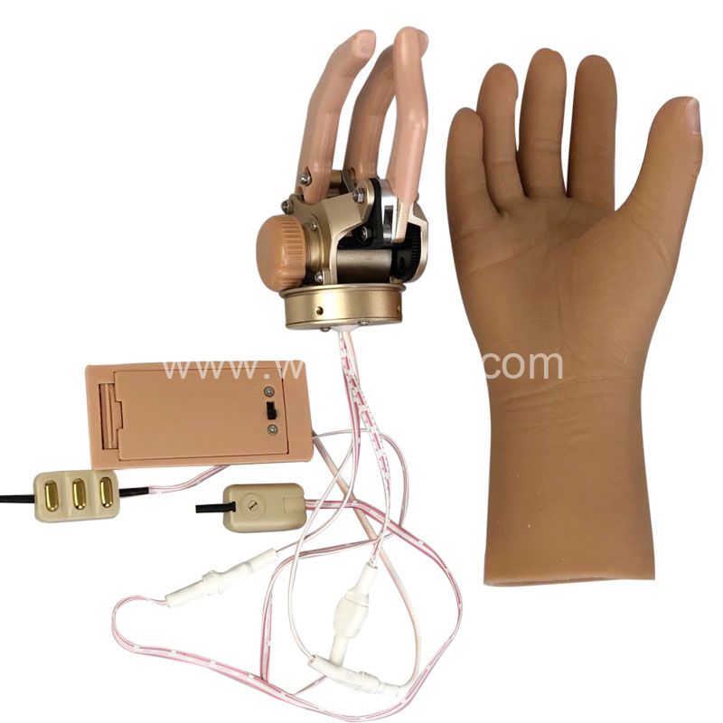 Hot Sale Artificial Limb Prosthetic Hand Myoelectric Arm Prostheses Hand